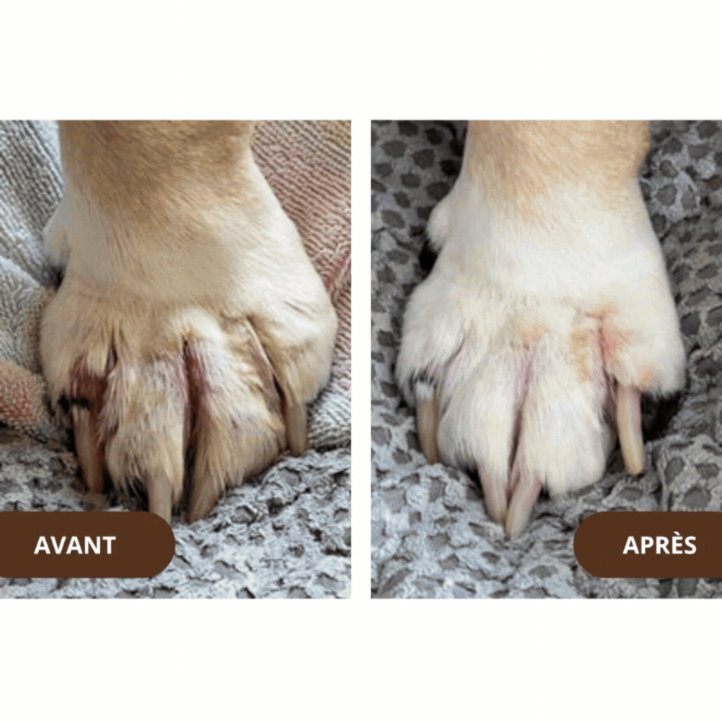 Flora Canis® - Baume Réparateur Peau Chien. Soulage Rougeurs, Irritations & Démangeaisons en 48h.