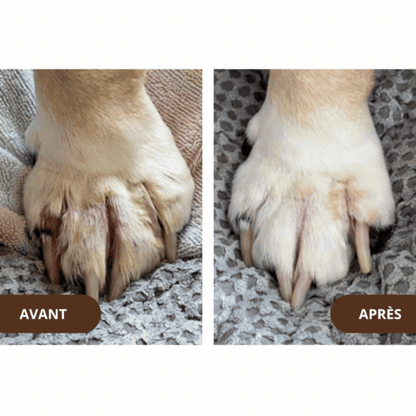 Flora Canis® - Baume Réparateur Peau Chien. Soulage Rougeurs, Irritations & Démangeaisons en 48h.